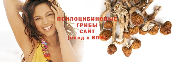 ALPHA PVP Киреевск