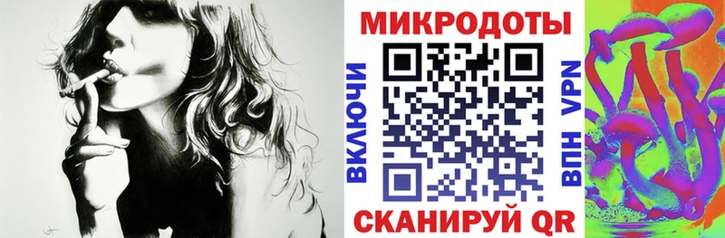 Купить закладки  Камень-на-Оби  Псилоцибиновые грибы Psilocybine cubensis 